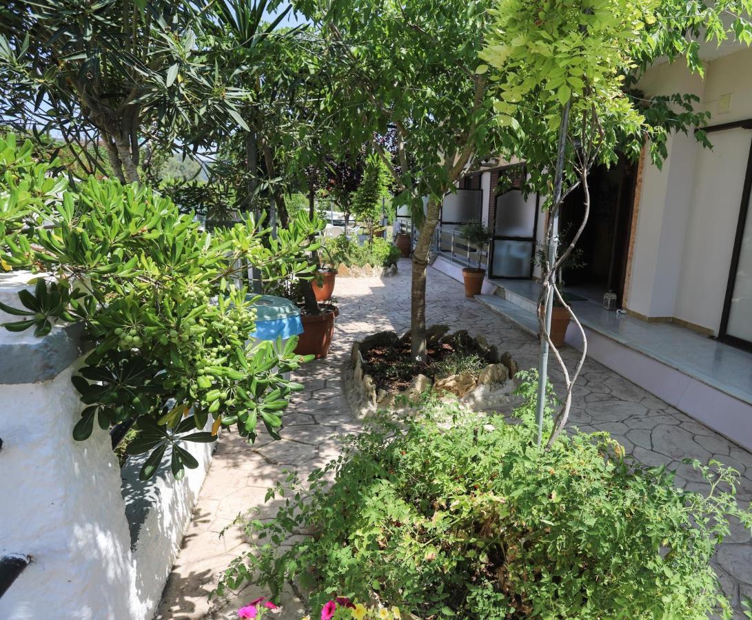 Dream Garden